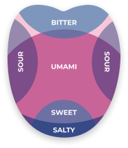 umami taste image umami taste image
