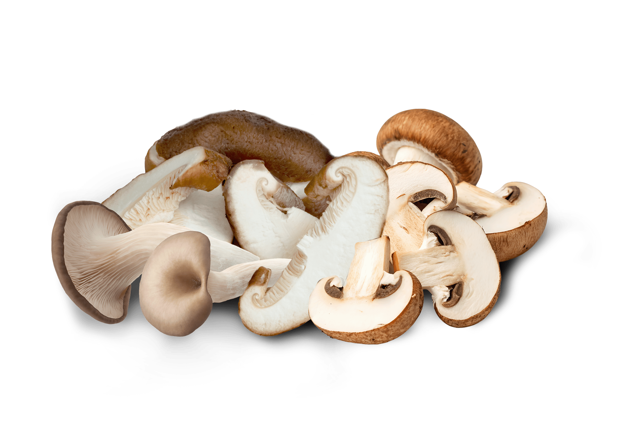 variety_umami