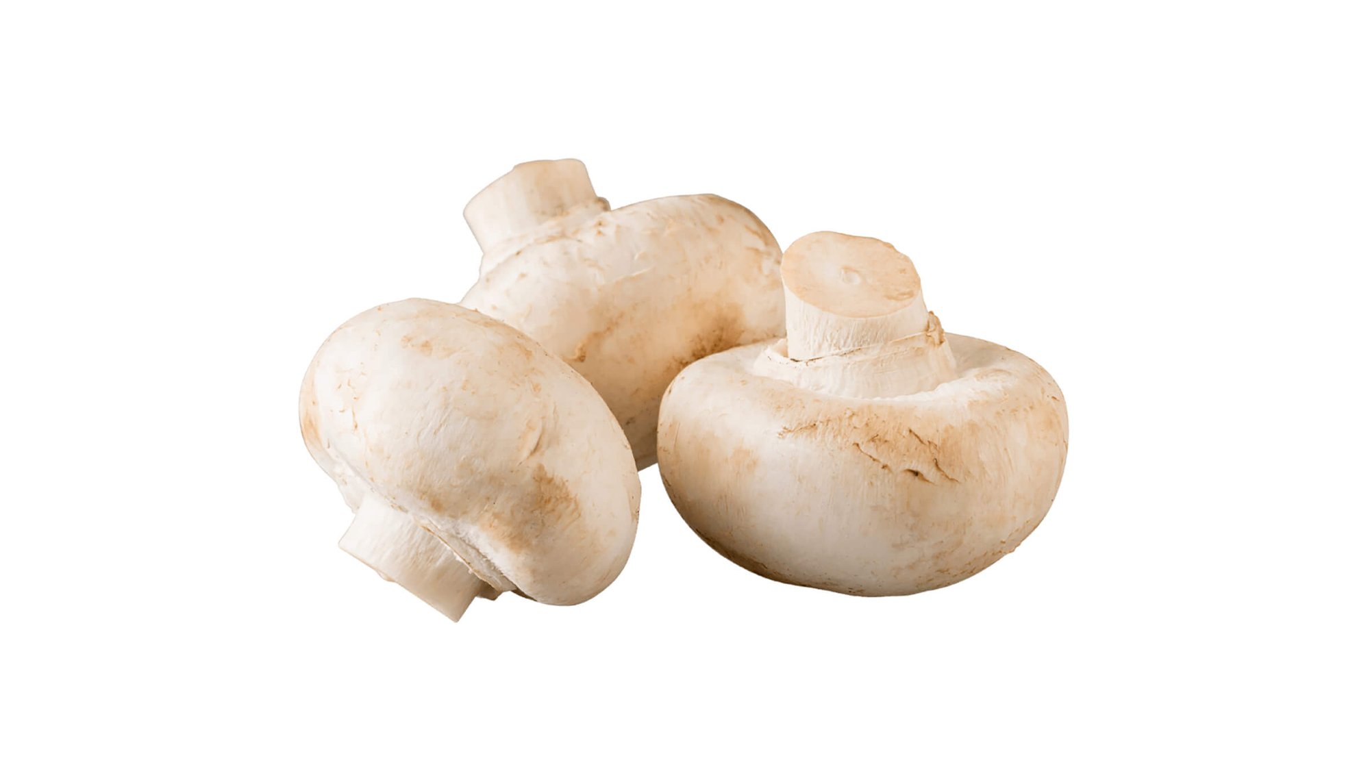 White mushroom glamour shot