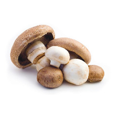 Organic-Mushrooms_adobespark