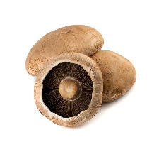 Portabella-Mushrooms_adobespark