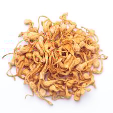 Cordyceps Mushrooms