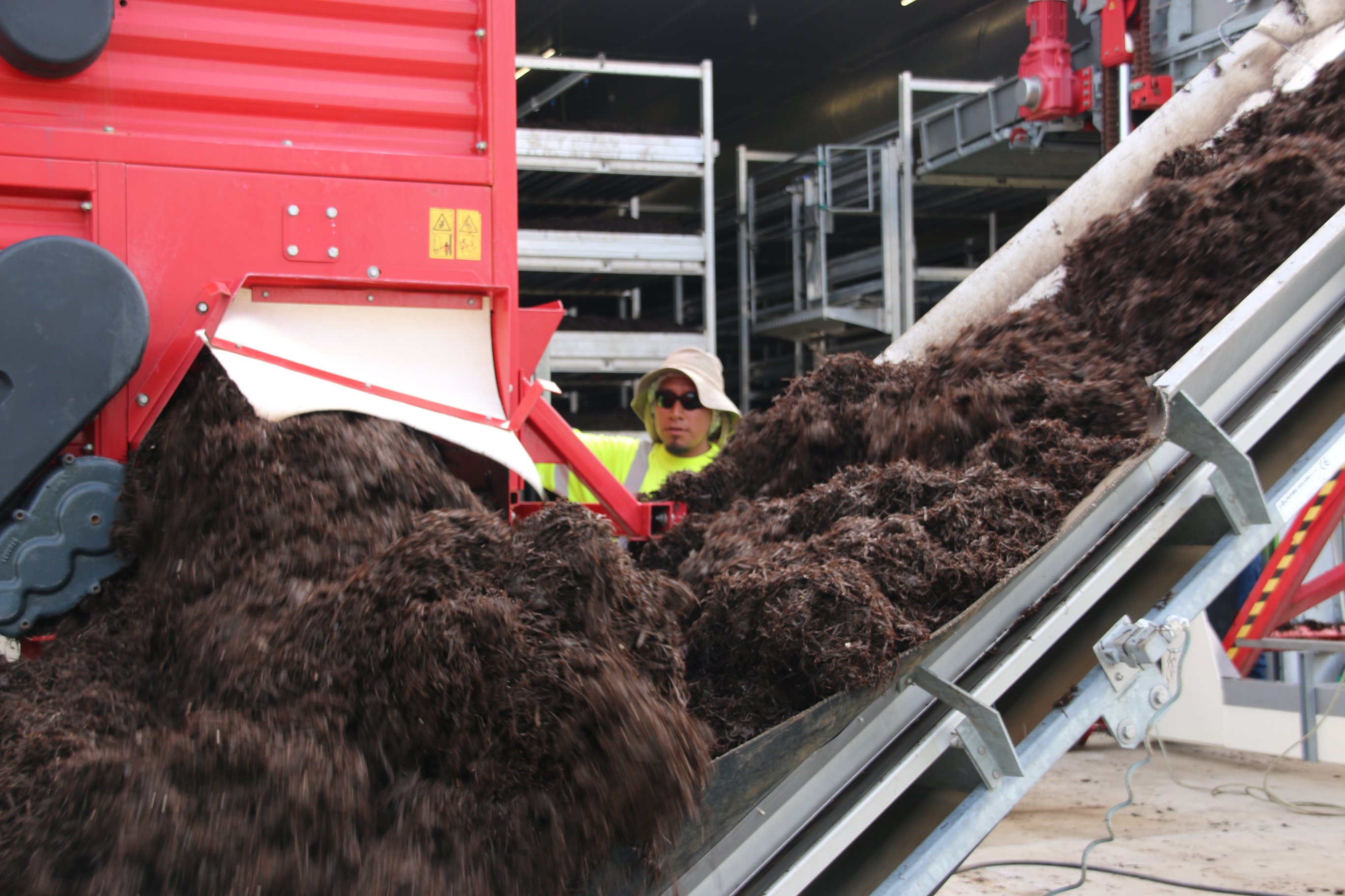 Monterey Mushrooms Farm to Fork Demonstration at the Texas Mushroom