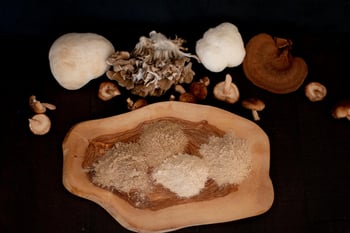Mushroom Powder 101: Everything You Need To Know
