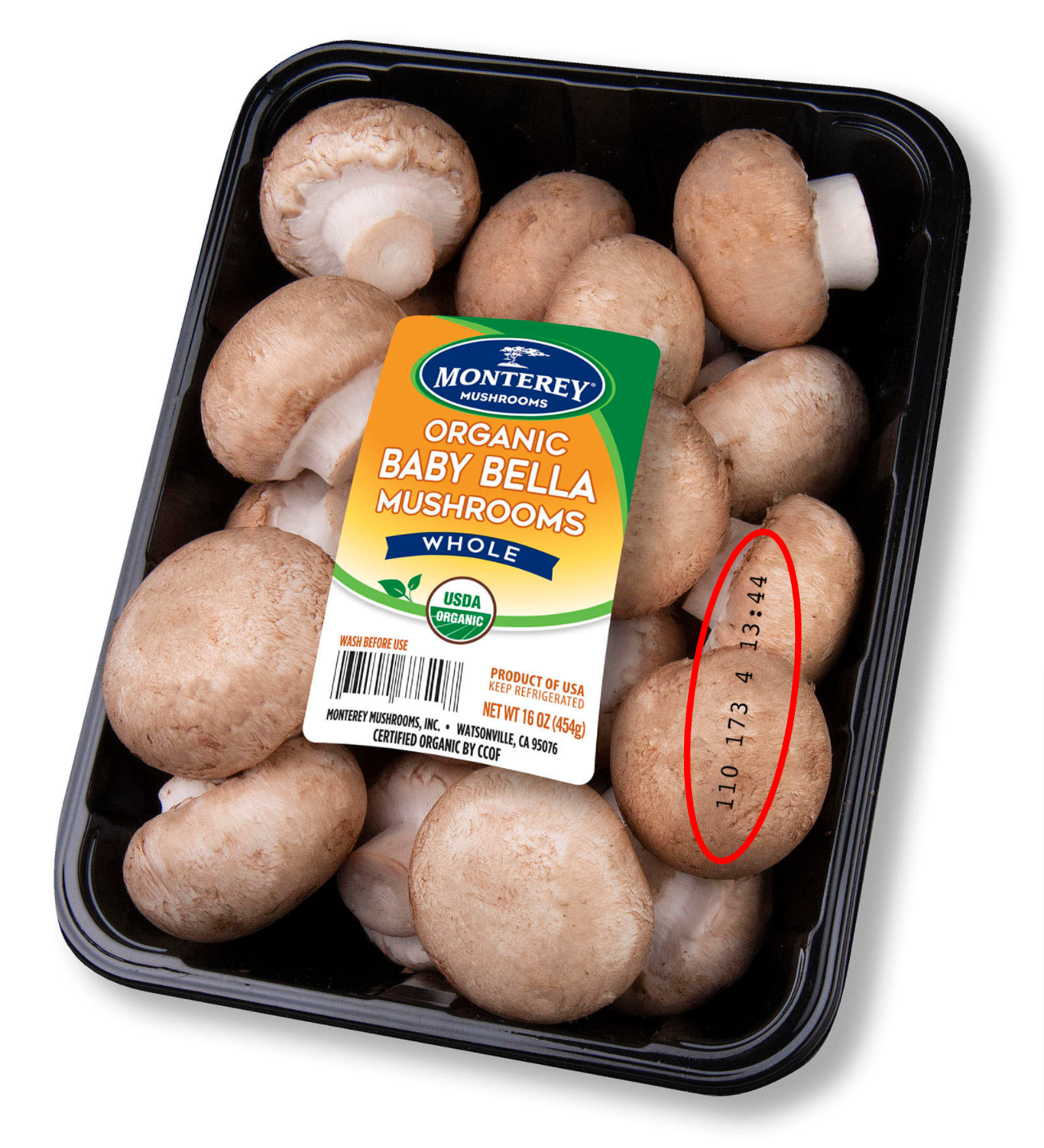 How Long Do Mushrooms Last Before They Go Bad?