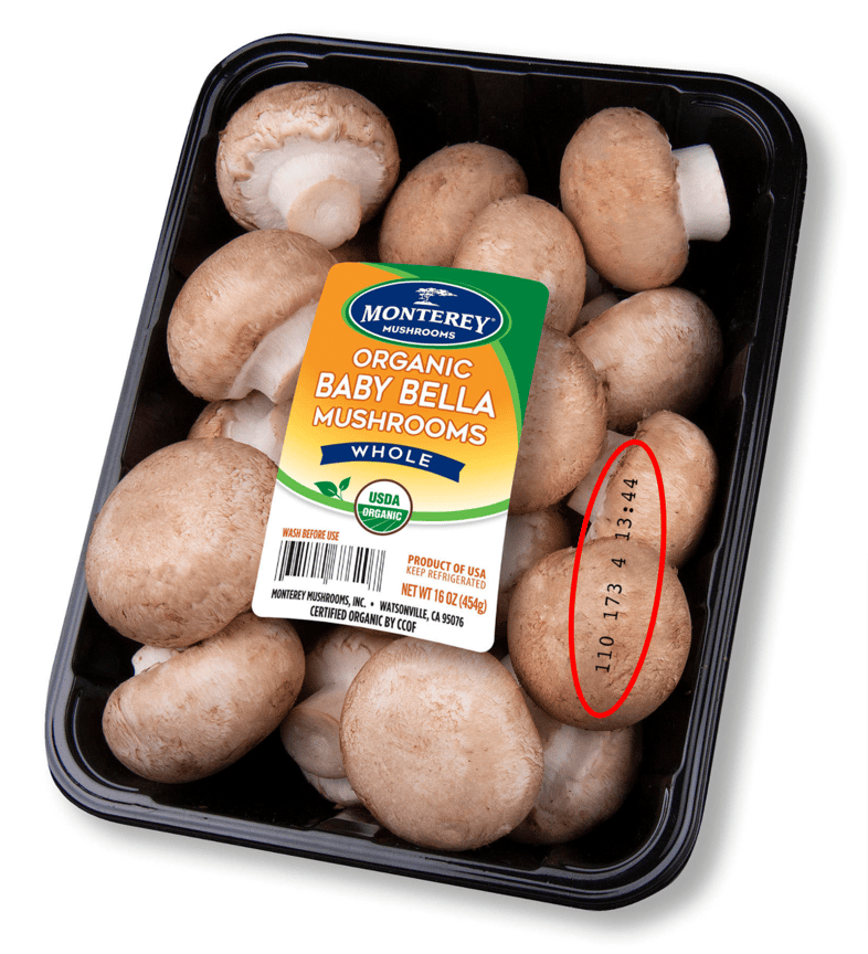 How Long Do Mushrooms Last Before They Go Bad?