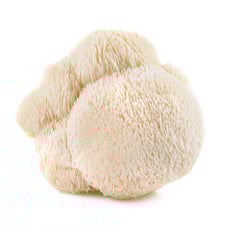 Lions Mane Mushroom