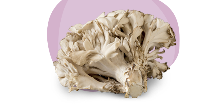 header-maitake-1