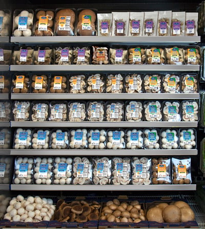 Monterey-Mushrooms-Retail-Set (1)-1