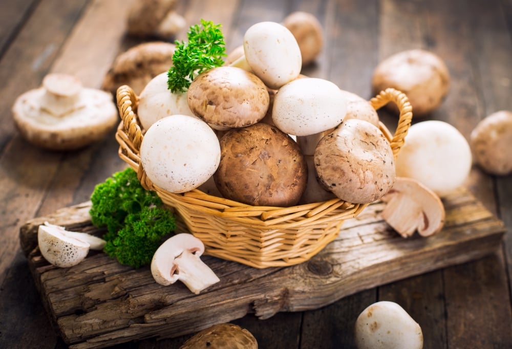 Mushroom nutrition