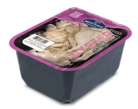 Angled_Oyster