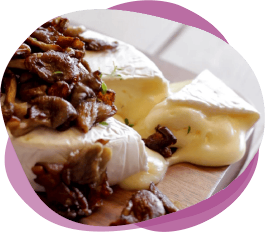 oyster-brie oyster-brie