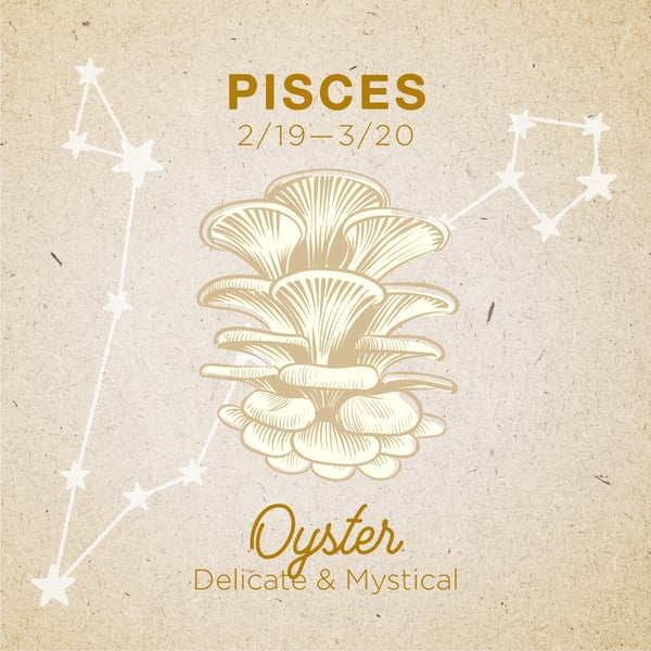 Pisces-Oyster