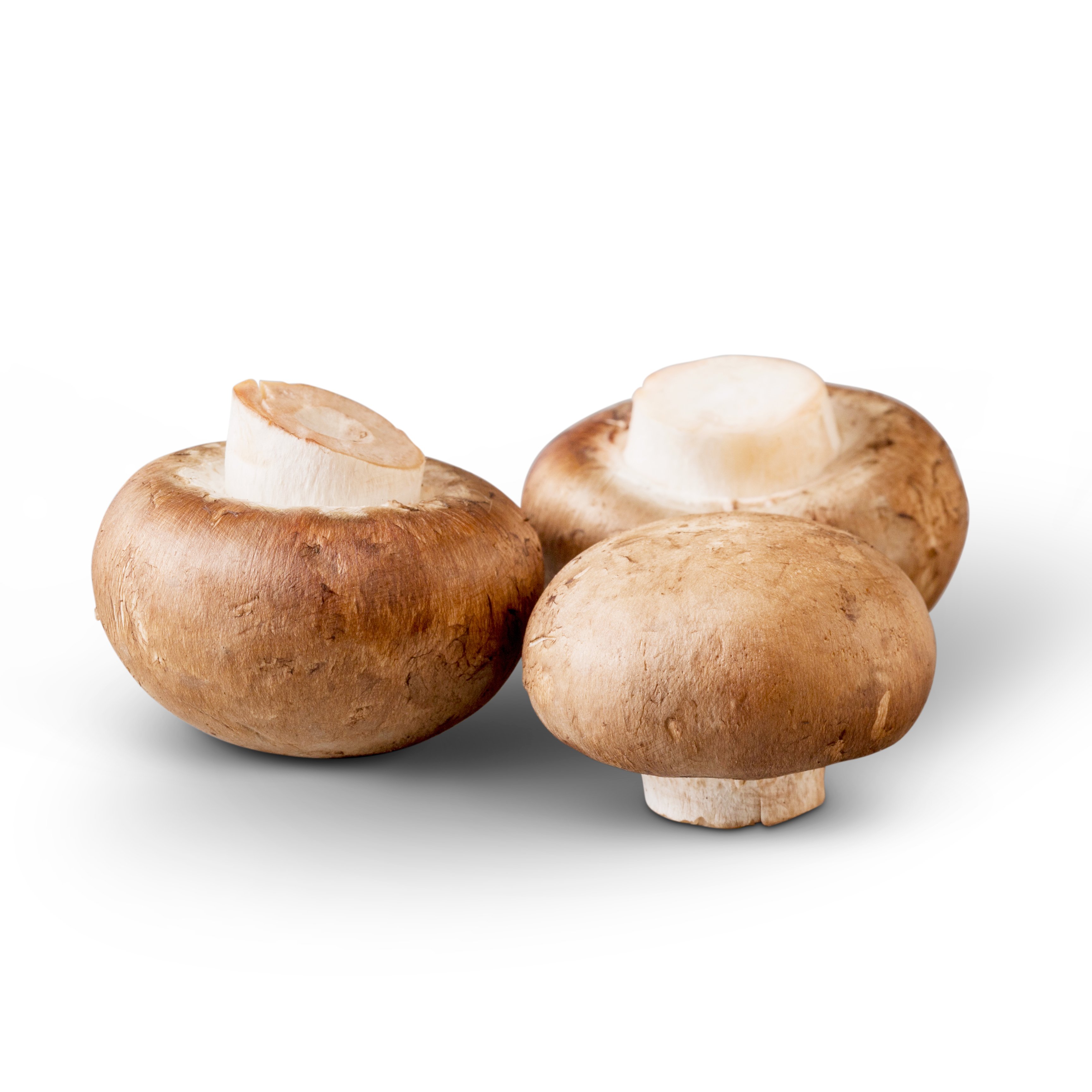 Brown Mushrooms | Monterey Mushrooms