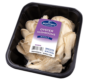 Oyster mushrooms