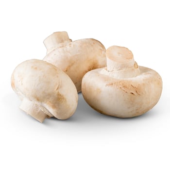 White Mushrooms