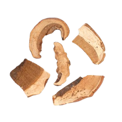 dried-porcini-mushrooms