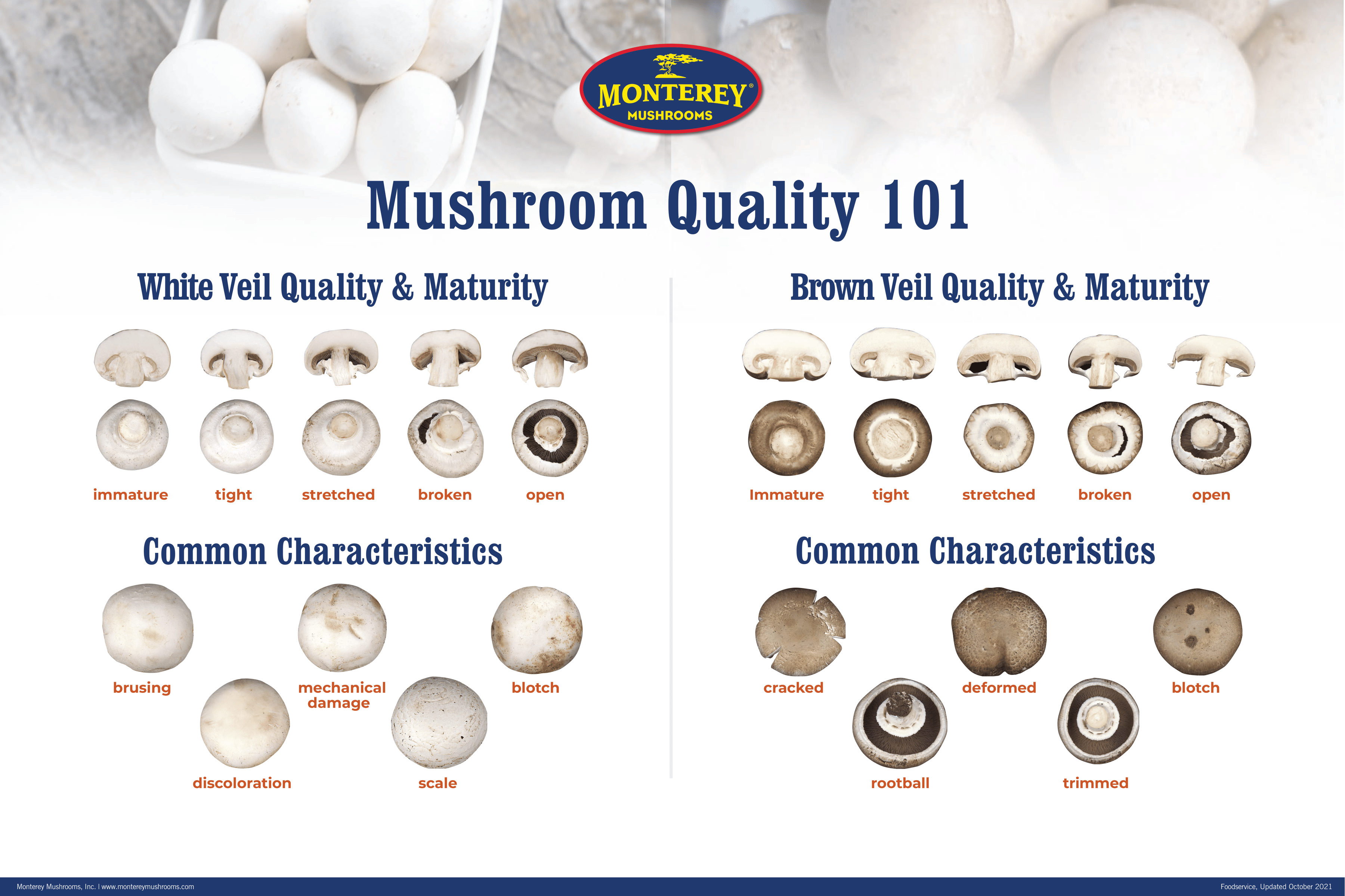 How Long Do Mushrooms Last Before They Go Bad?