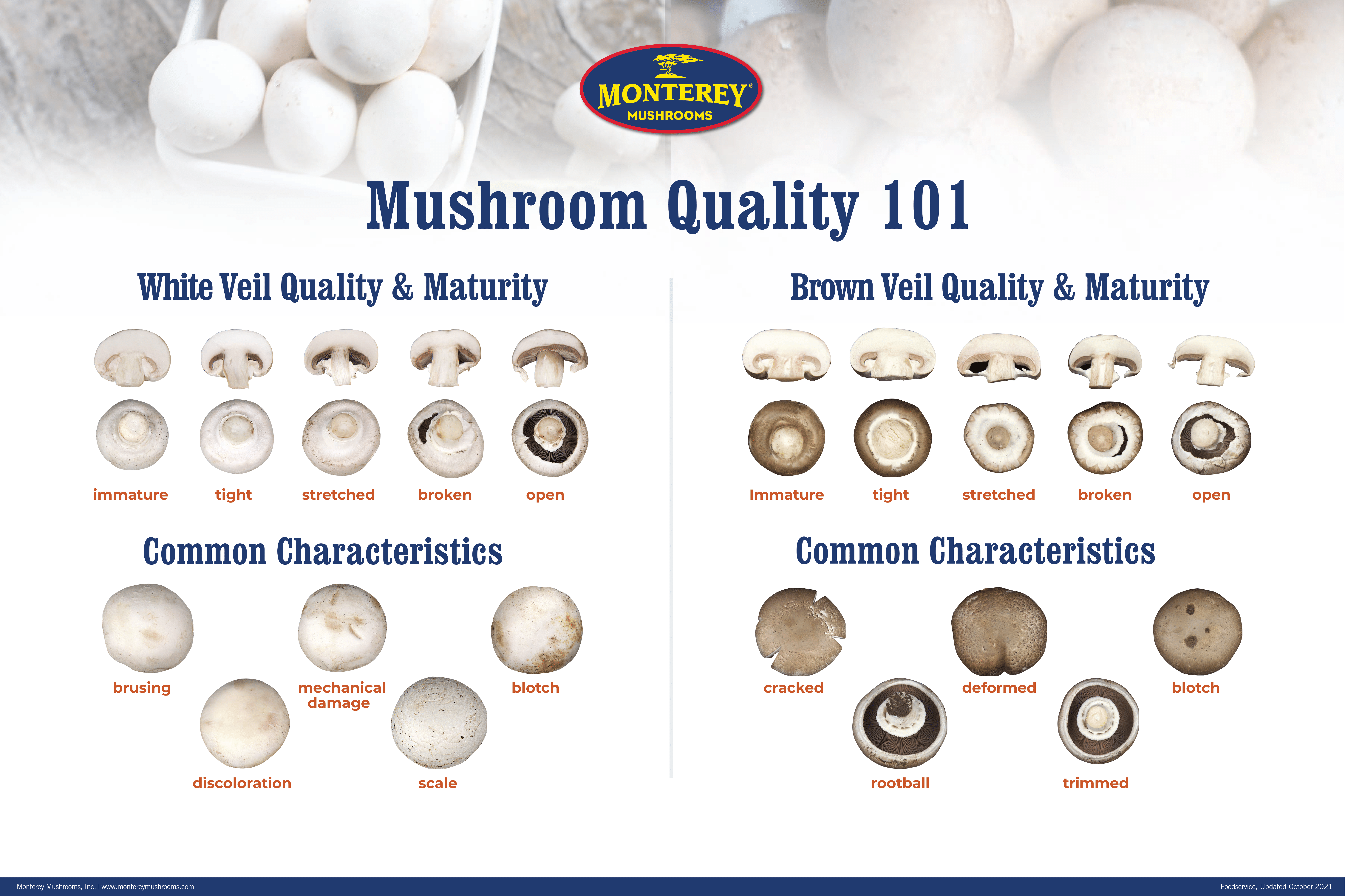 The Best Way To Clean Mushrooms