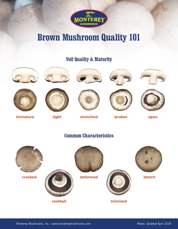 Brown Mushroom Quality 101