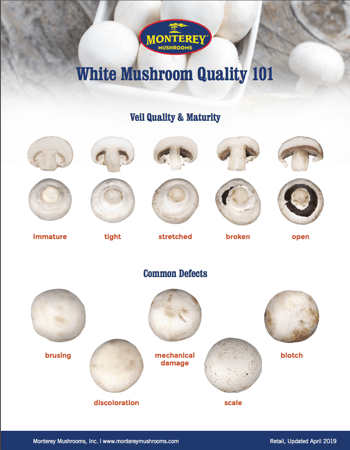 White Mushroom Quality 101