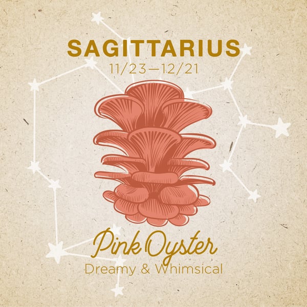 Sagittarius-PinkOyster