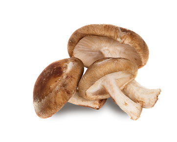 shiitake-mushroom-carousel