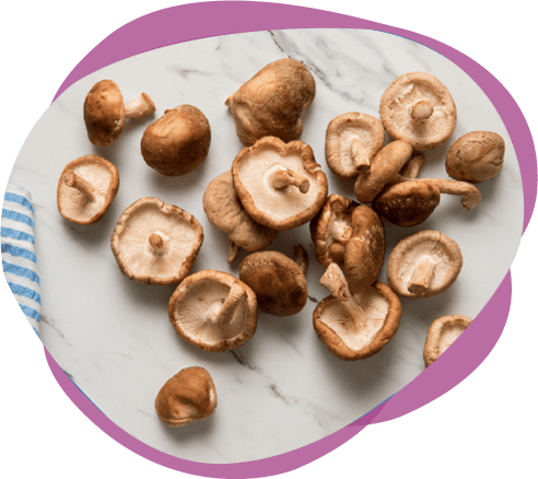 shiitake-mushrooms-sliced shiitake-mushrooms-sliced