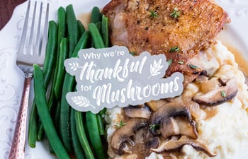 Why We’re Thankful for Mushrooms