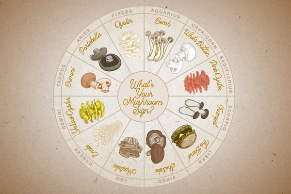 Zodiac-Wheel-Mushrooms