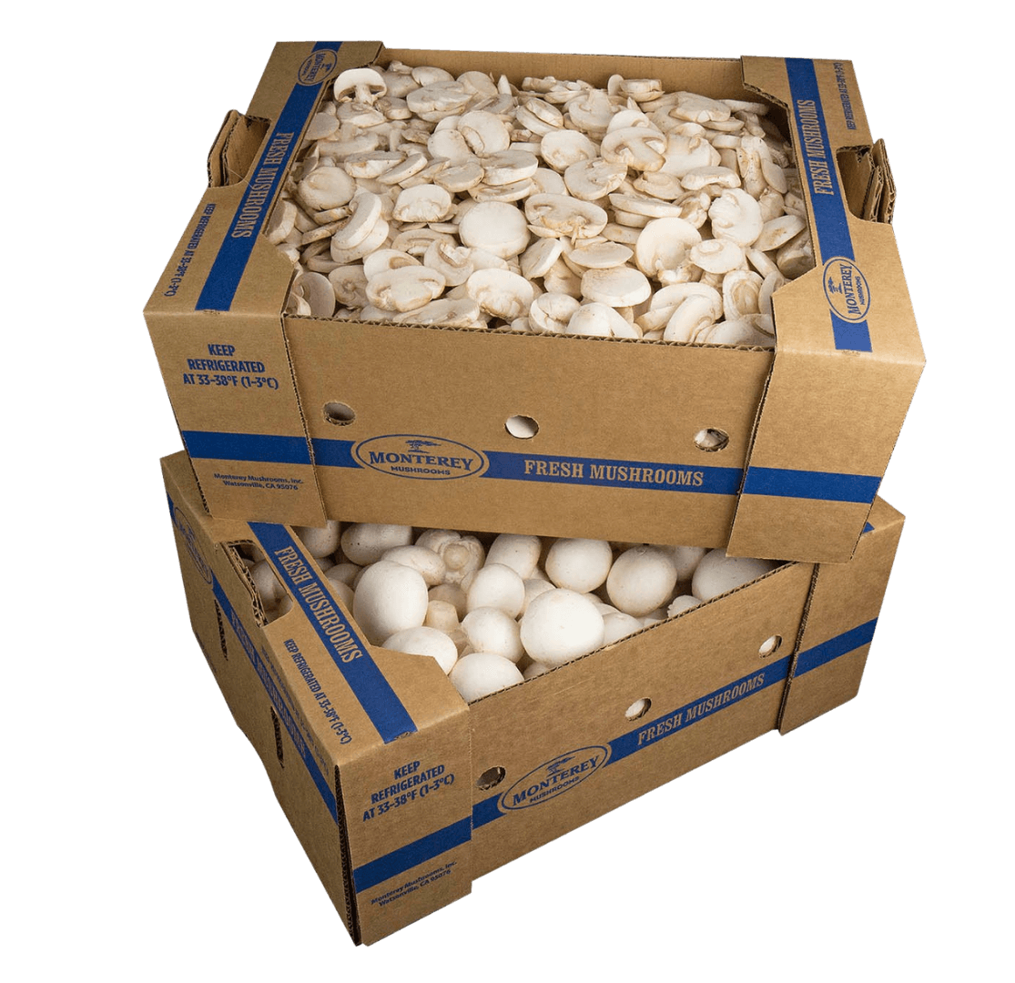 Two boxes of white mushrooms