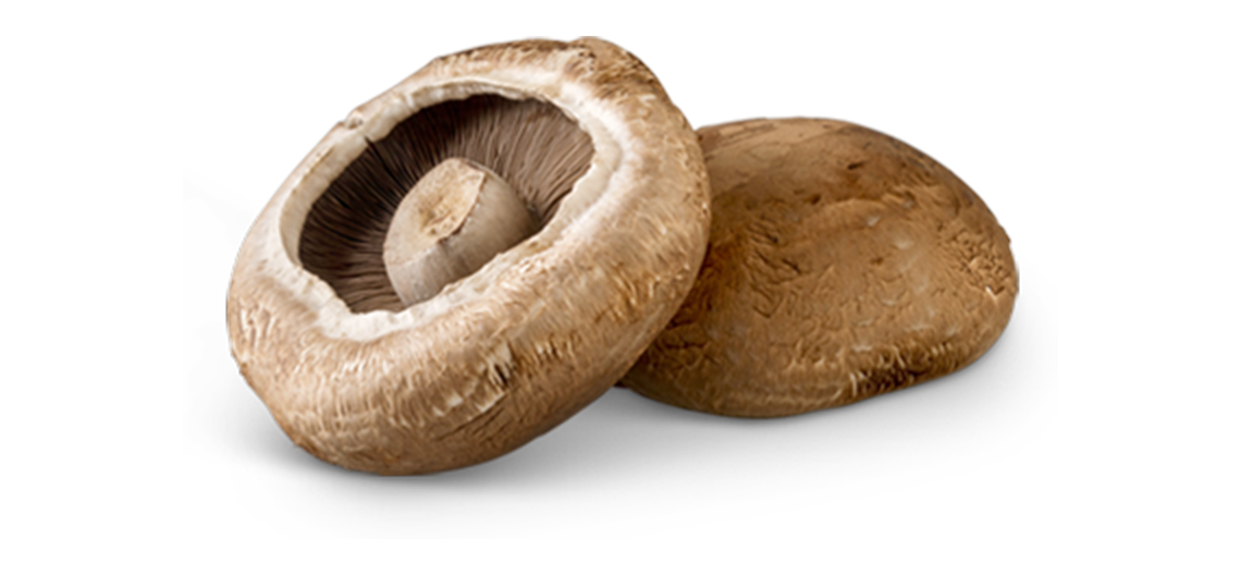 Two portabella mushrooms
