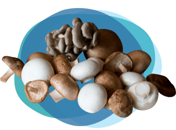 mushroom-benefits