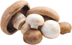 A variety of mushrooms
