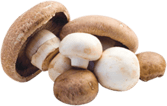 A variety of mushrooms