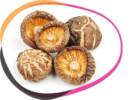 nutraceuticals-dried-fruit-bodies