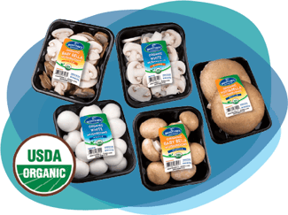 organic-mushrooms-packaging