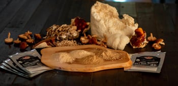 How Food Manufacturers Can Use Mushroom Powder to Boost Product Nutrition