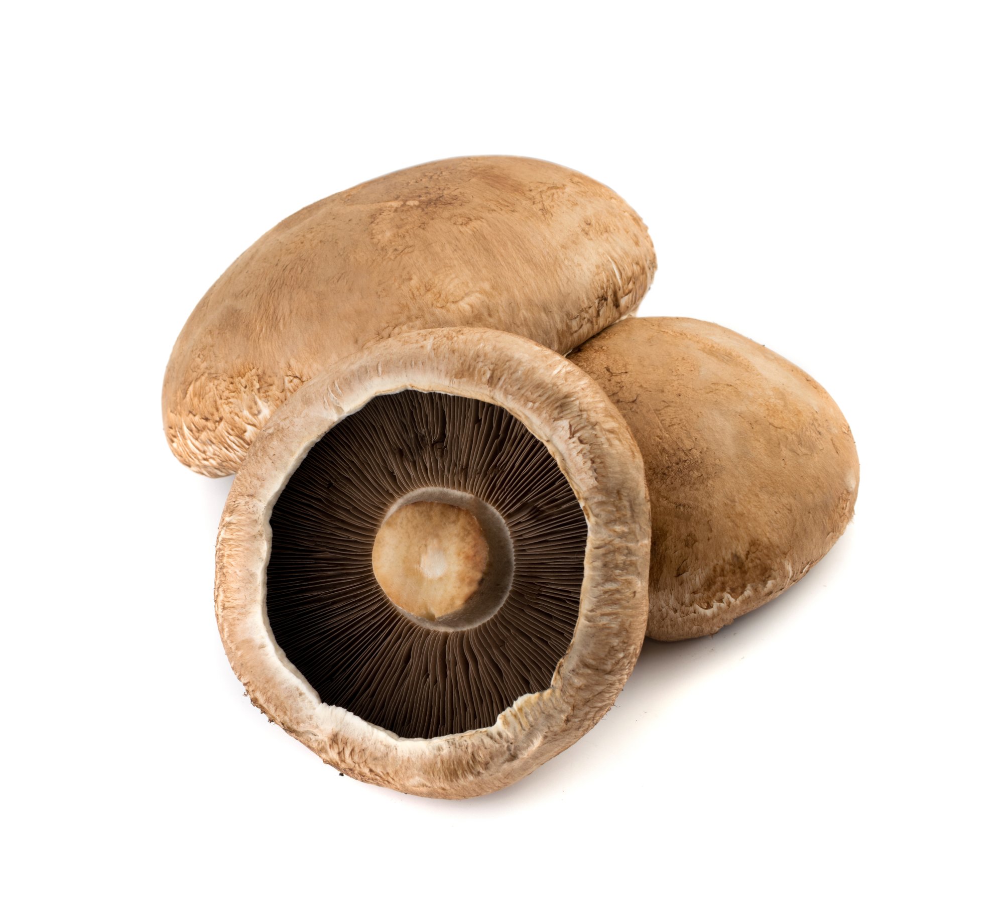 portabella mushrooms