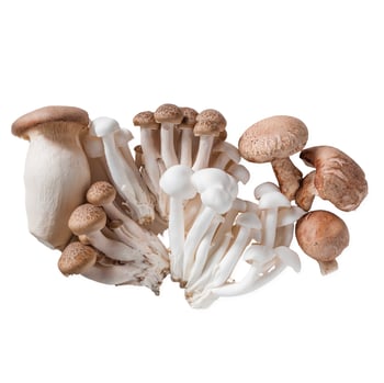 All Specialty Mushrooms