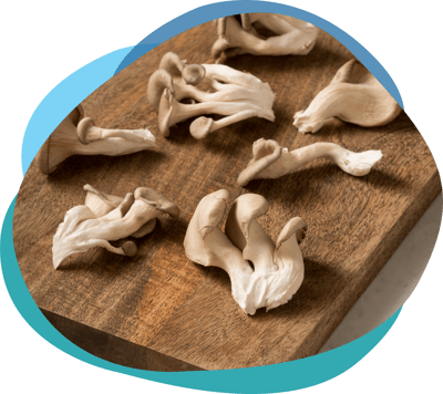 specialty-mushrooms-faq