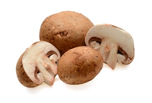 the-taste-health-benefits-of-popular-types-of-edible-mushrooms-baby-bellas