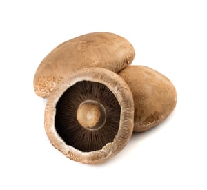 the-taste-health-benefits-of-popular-types-of-edible-mushrooms-portabellas