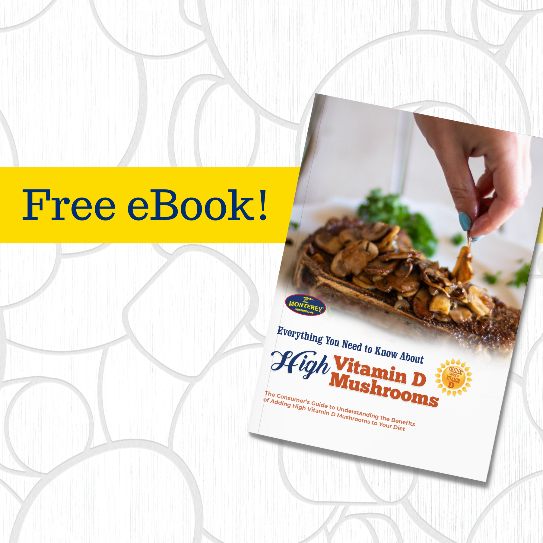 vitamin d ebook