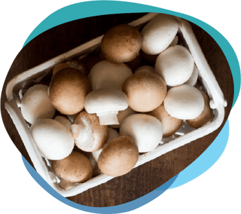 vitamin-d-mushroom-4