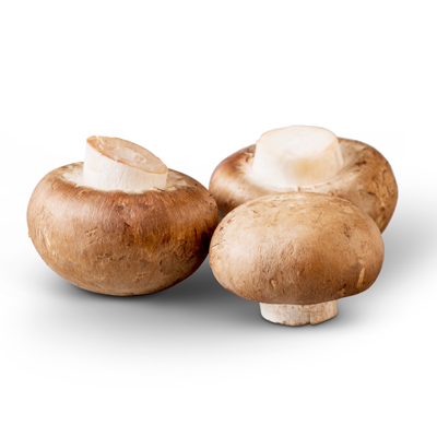 Image of Brown Mushrooms