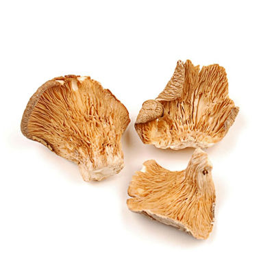 Image of Dried Oyster Mushrooms