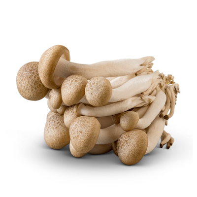 Image of Speciality Mushrooms