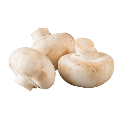 Image of White Mushrooms