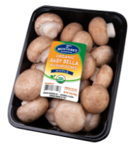 mushroom-pack06